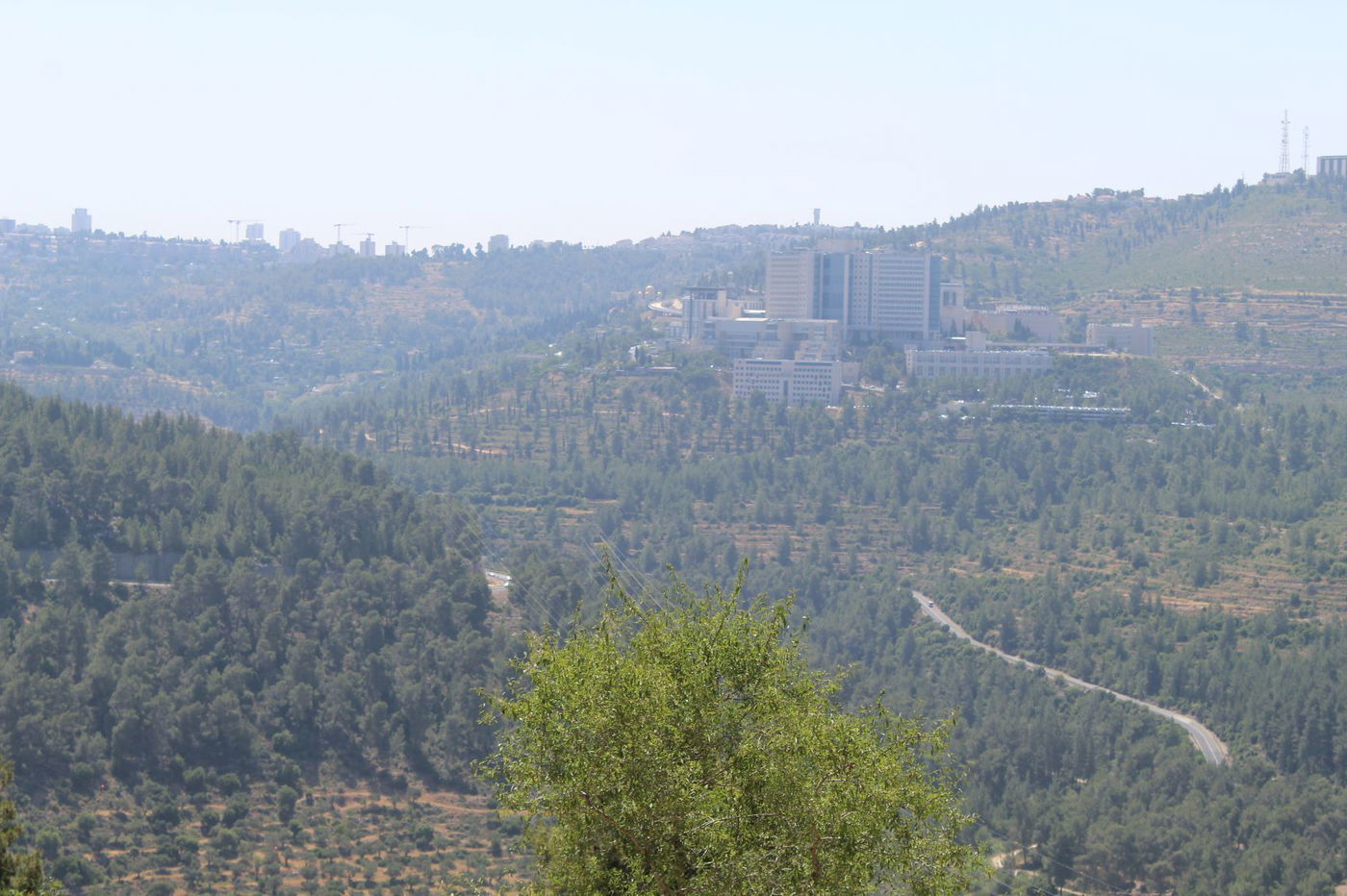 תלמודי התורה והחיידרים החלו את עונת הטיולים!