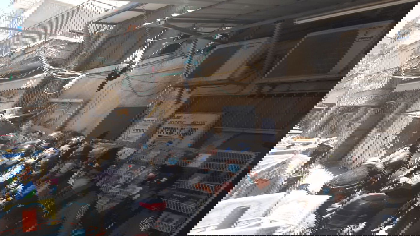 הסיור היומי הסתבך; 3 נעצרו במהומות • צפו