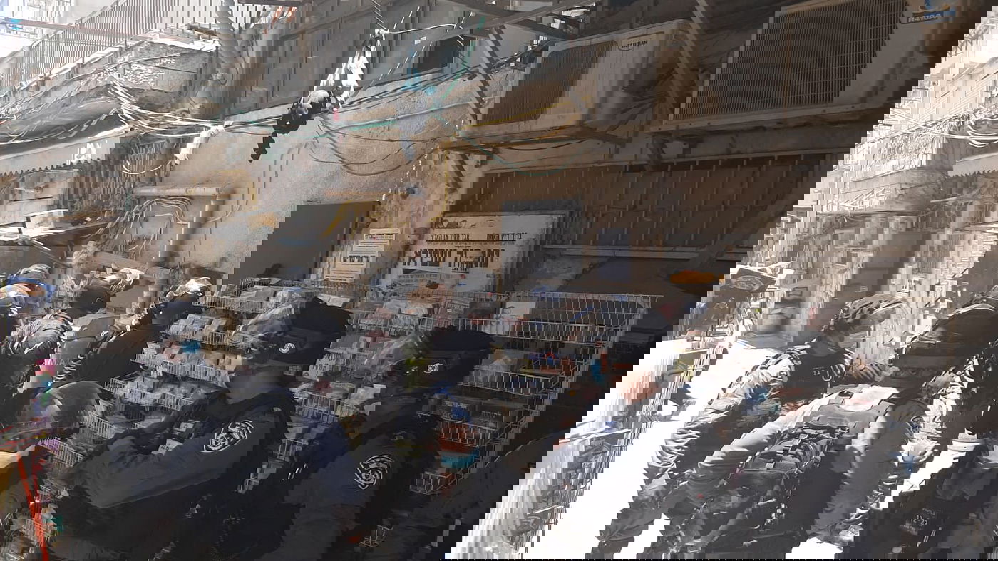 הסיור היומי הסתבך; 3 נעצרו במהומות • צפו