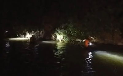 מתוך הסרטון