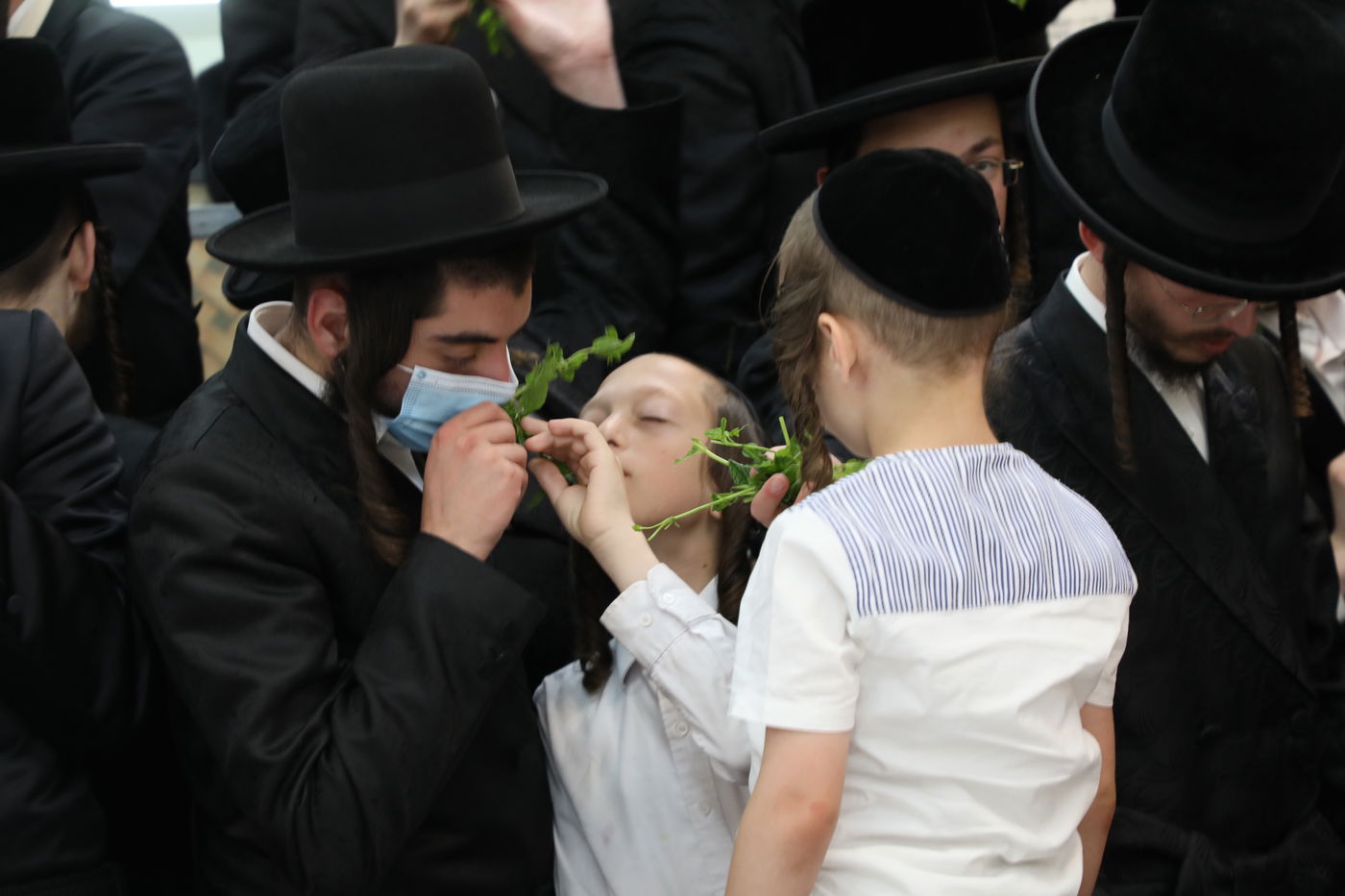 בזוועהיל חגגו שבת שבע ברכות לנכדת האדמו"ר