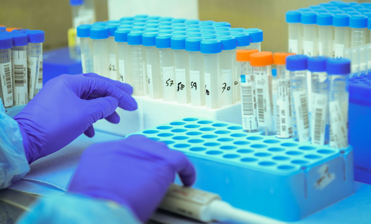 בדיקות 'קורונה'