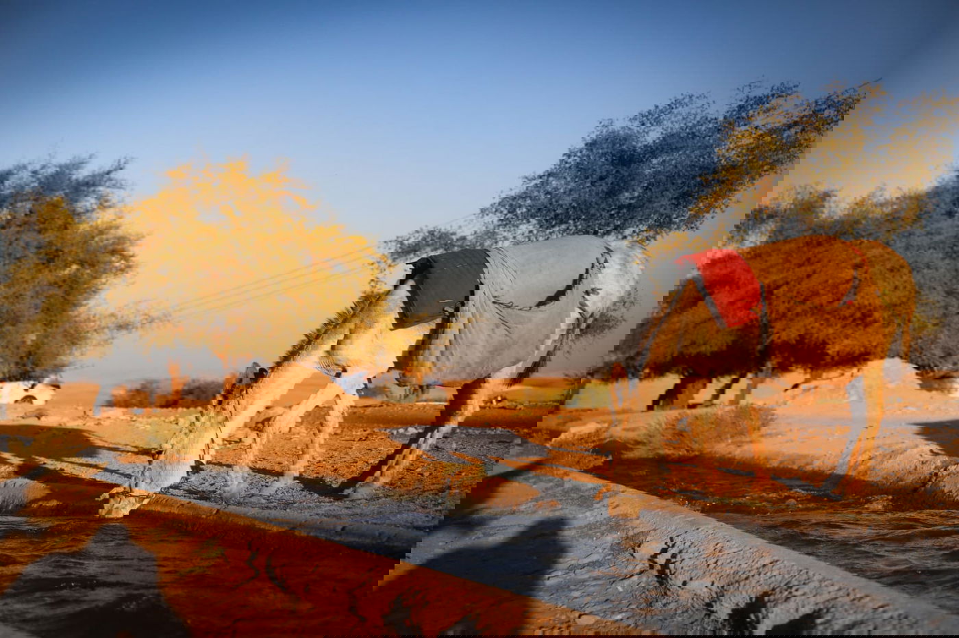 ריבונות או מדינה פלסטינית? סיור מצולם בשטח