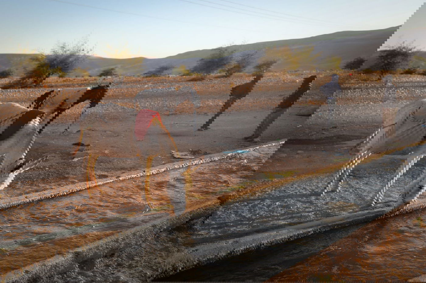 ריבונות או מדינה פלסטינית? סיור מצולם בשטח