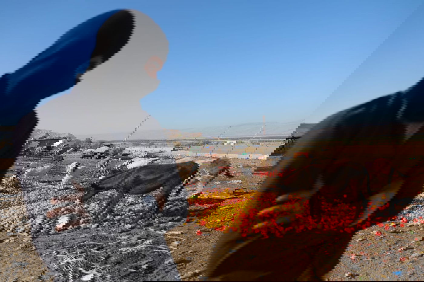 ריבונות או מדינה פלסטינית? סיור מצולם בשטח