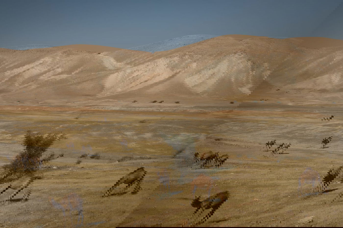 ריבונות או מדינה פלסטינית? סיור מצולם בשטח