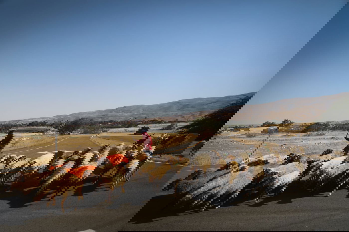 ריבונות או מדינה פלסטינית? סיור מצולם בשטח