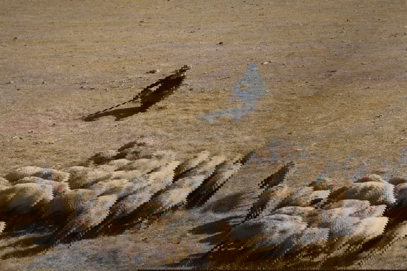 ריבונות או מדינה פלסטינית? סיור מצולם בשטח