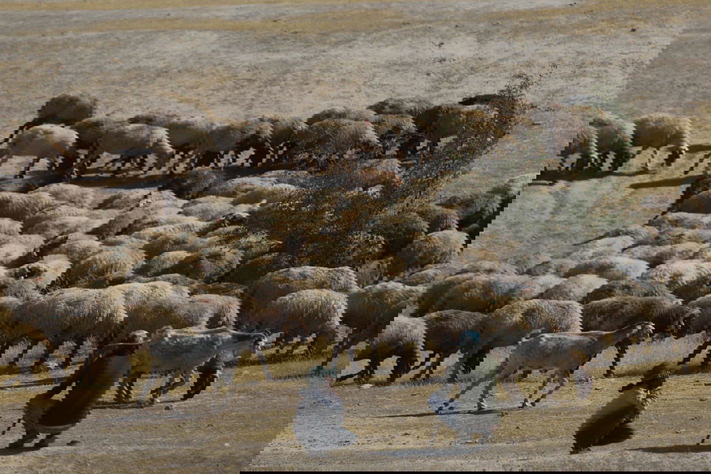 ריבונות או מדינה פלסטינית? סיור מצולם בשטח