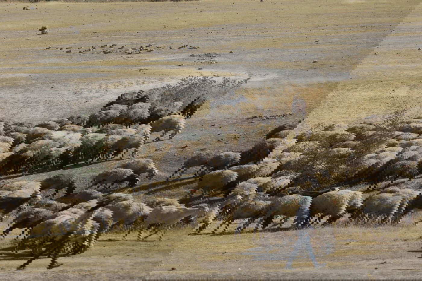 ריבונות או מדינה פלסטינית? סיור מצולם בשטח