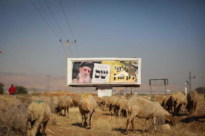 ריבונות או מדינה פלסטינית? סיור מצולם בשטח