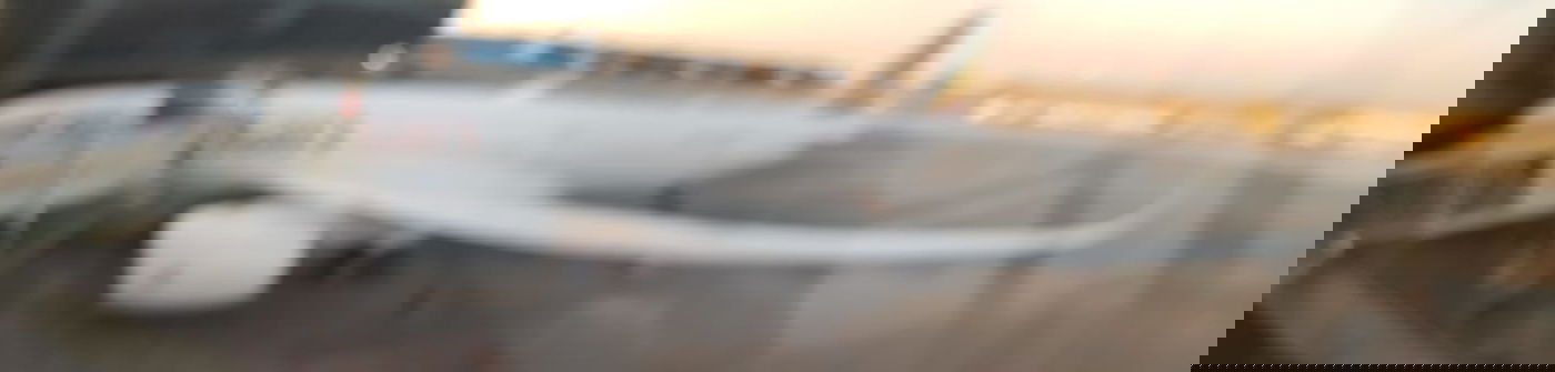 אחרי הסיוט הארוך: ה'טיסה של כיכר' נחתה בישראל