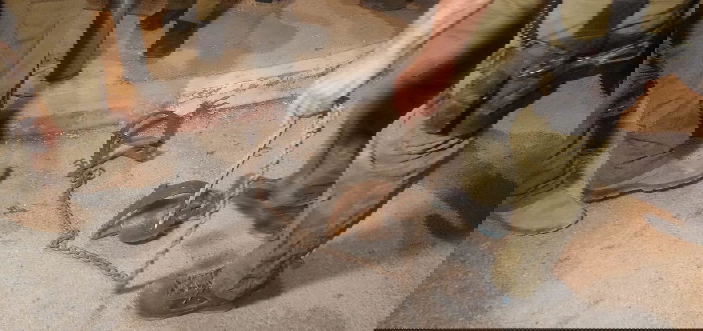 אחרי התעללות פלסטינית אכזרית: בעלי החיים ניצלו