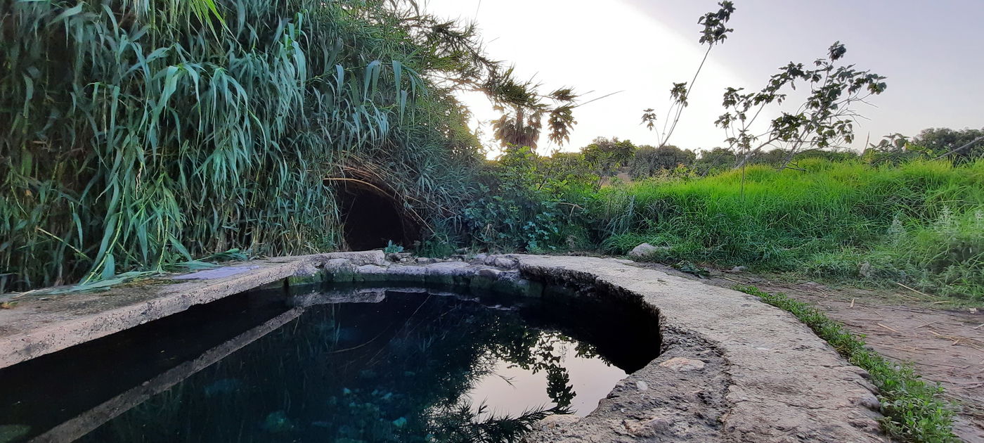 המעיין הרטוב שמלמד על "תוכנית טראמפ"