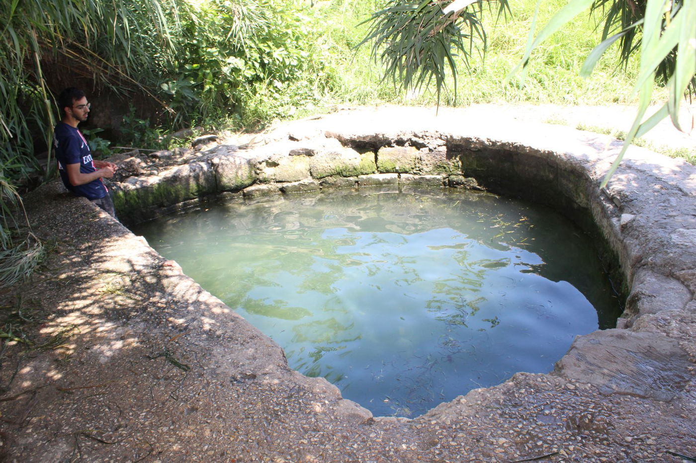 המעיין הרטוב שמלמד על "תוכנית טראמפ"