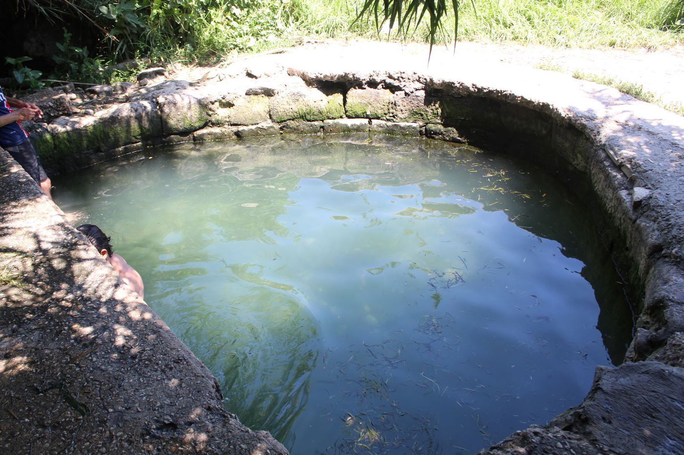 המעיין הרטוב שמלמד על "תוכנית טראמפ"