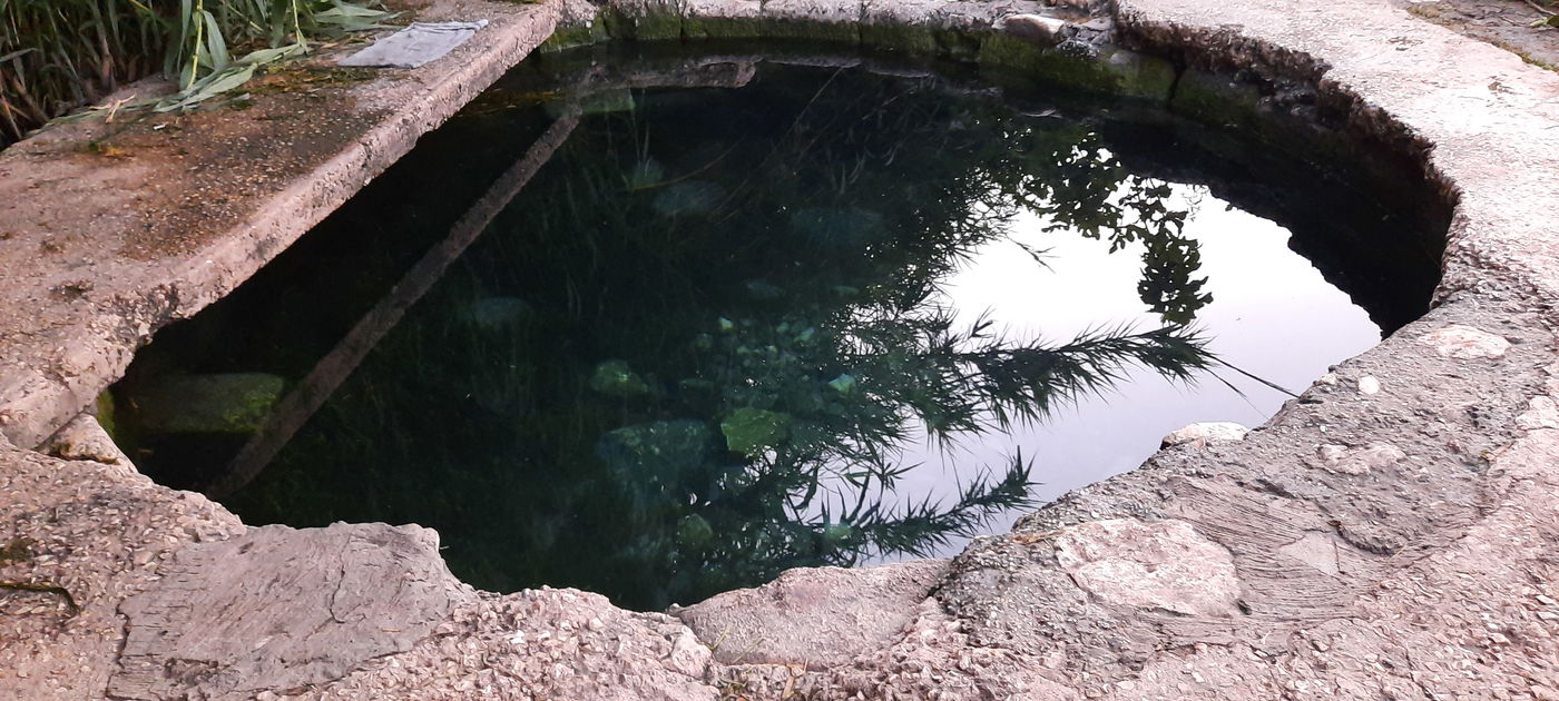 המעיין הרטוב שמלמד על "תוכנית טראמפ"