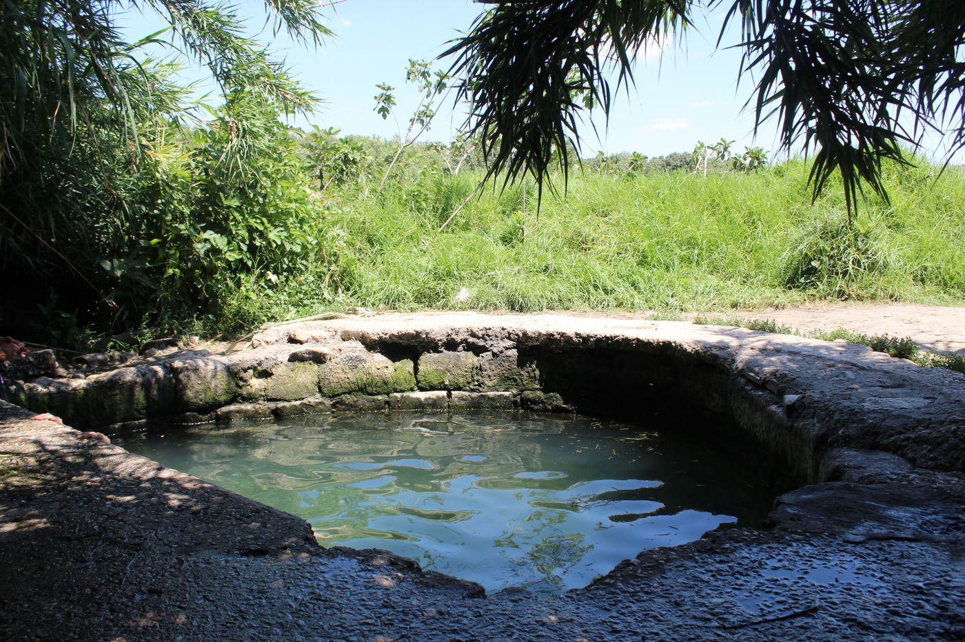 המעיין הרטוב שמלמד על "תוכנית טראמפ"
