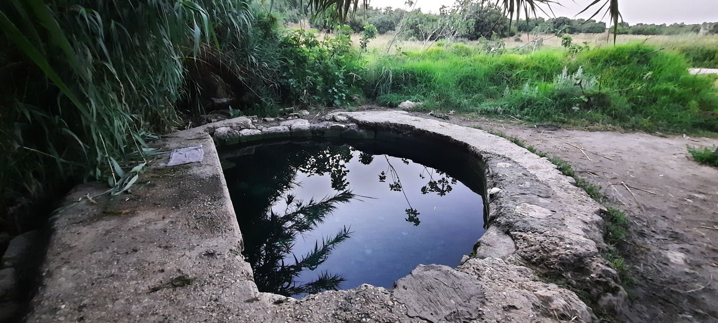 המעיין הרטוב שמלמד על "תוכנית טראמפ"