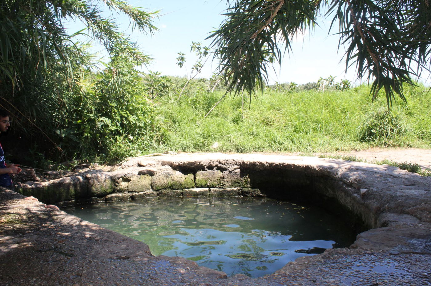 המעיין הרטוב שמלמד על "תוכנית טראמפ"