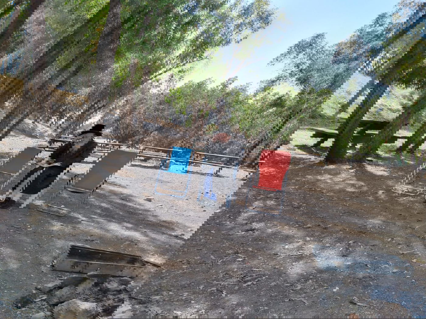 הרבי מ'קאליש' יצא ל'נאות דשא' ברחבי היער