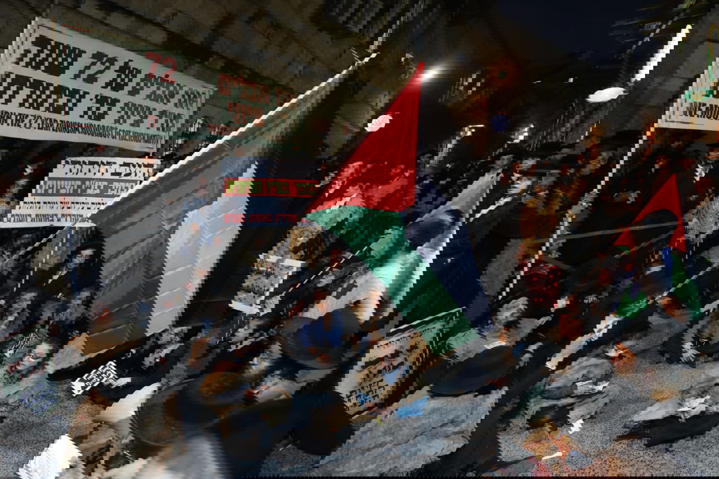 דגל פלסטין בהפגנה