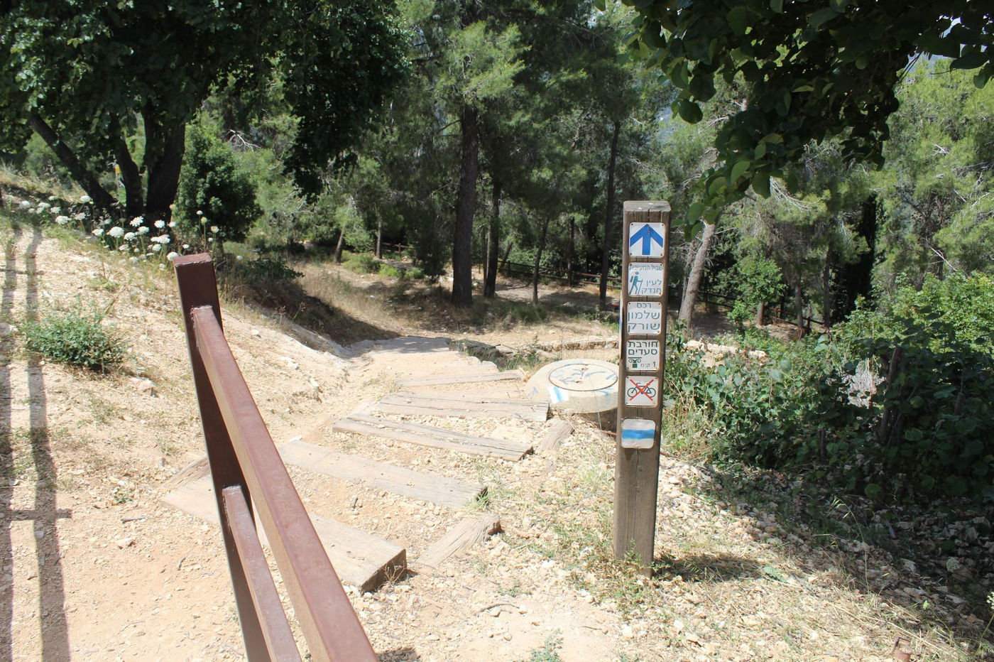 "שביל המעיינות" ואתר ההנצחה "יד קנדי"