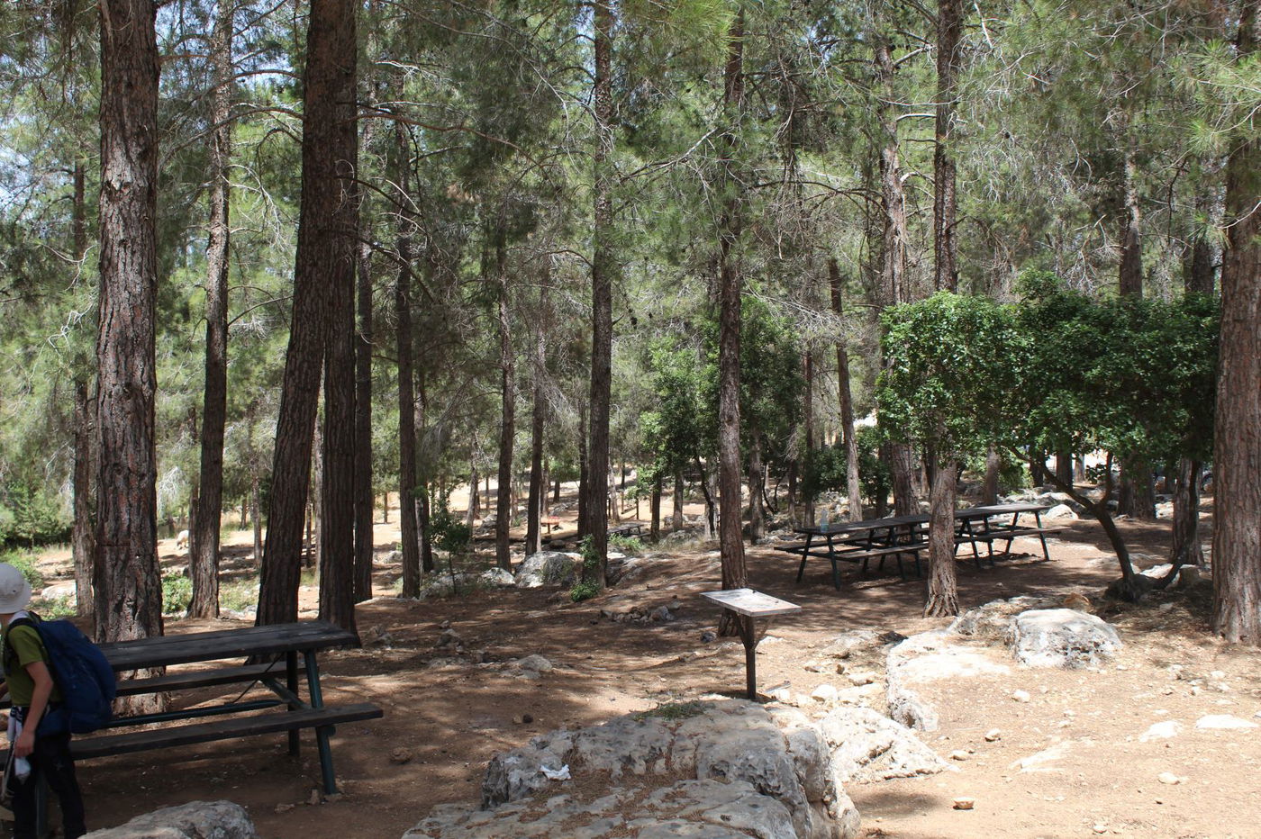 "שביל המעיינות" ואתר ההנצחה "יד קנדי"