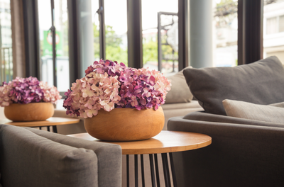 האם פרחים מפלסטיק עושים לך אלרגיה? // מיכל ולקין