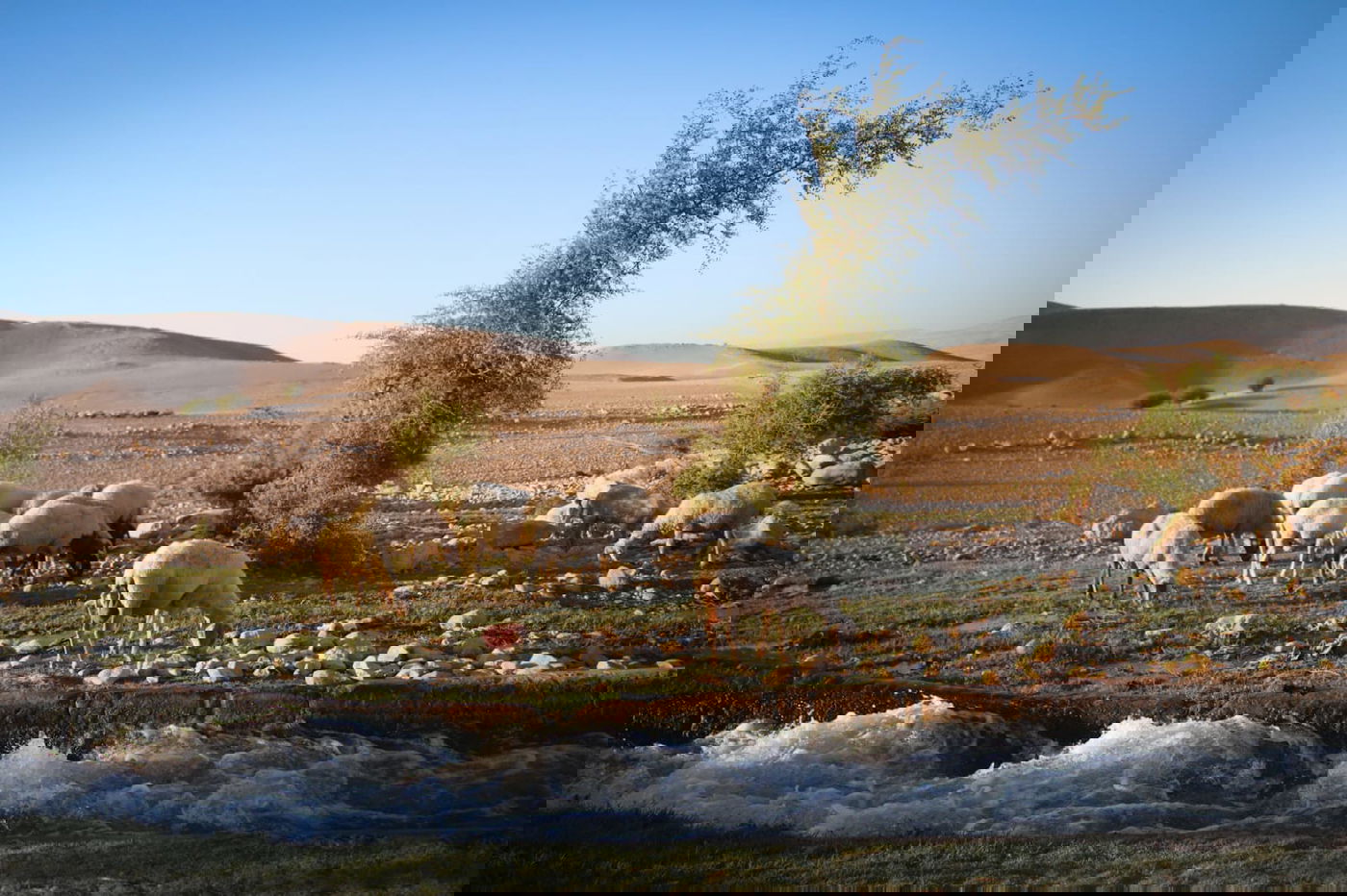 התחזית: לקראת עליה נוספת בטמפרטורות