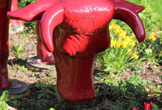 למי קראת "גלגול פרה"? / הרב אבי אברהם