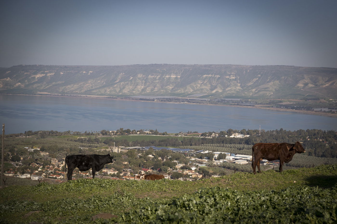 מהו מיקומה המדוייק של 'בארה של מרים'?