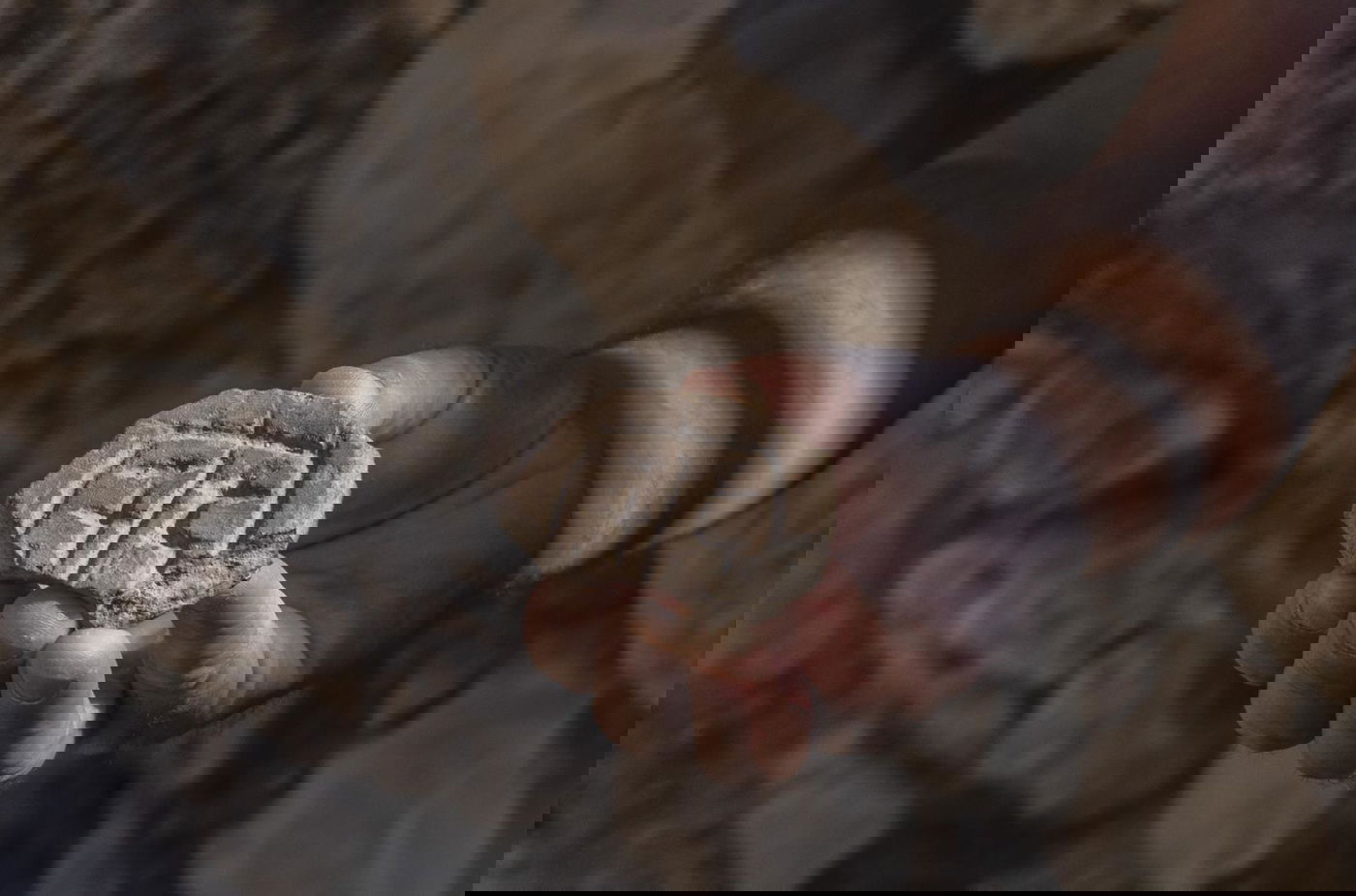 הוכחה: פעולות שיקום ירושלים בתקופת עזרא ונחמיה