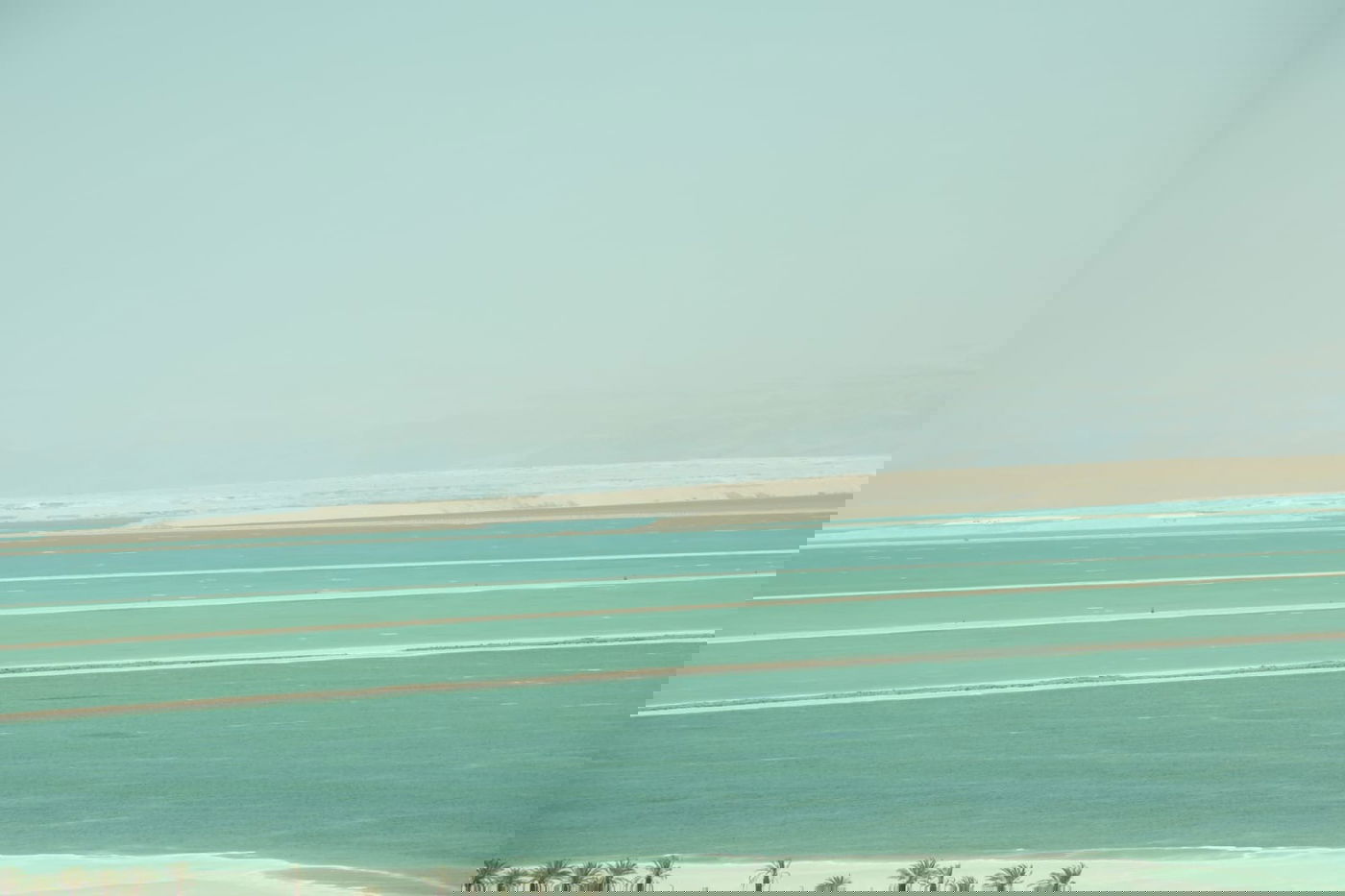 טיול דרך המצלמה לים המלח והנחלים באזור