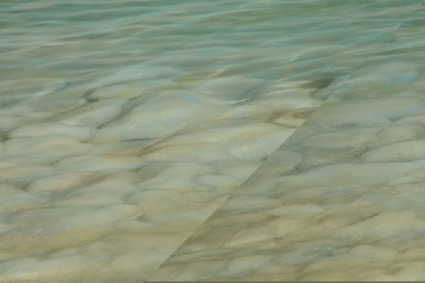 טיול דרך המצלמה לים המלח והנחלים באזור