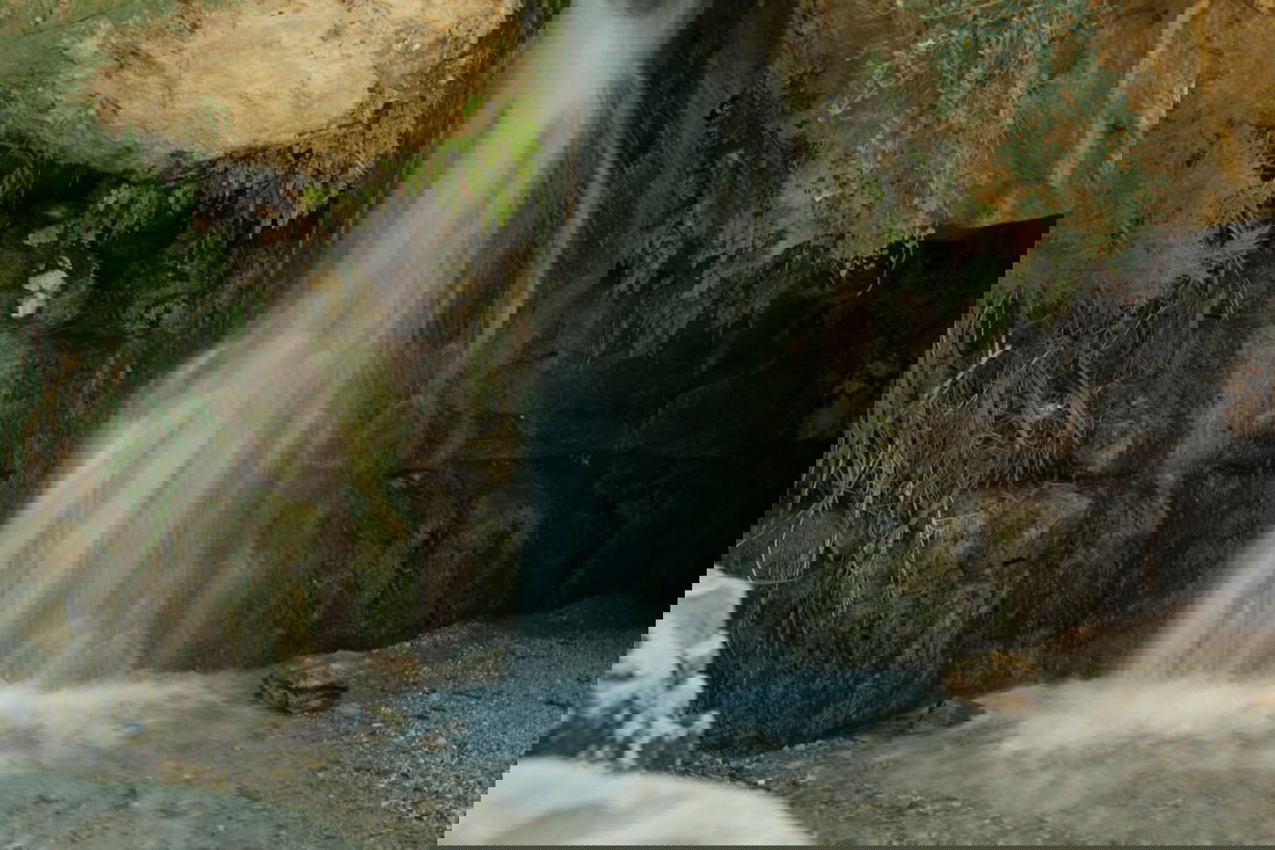 טיול דרך המצלמה לים המלח והנחלים באזור