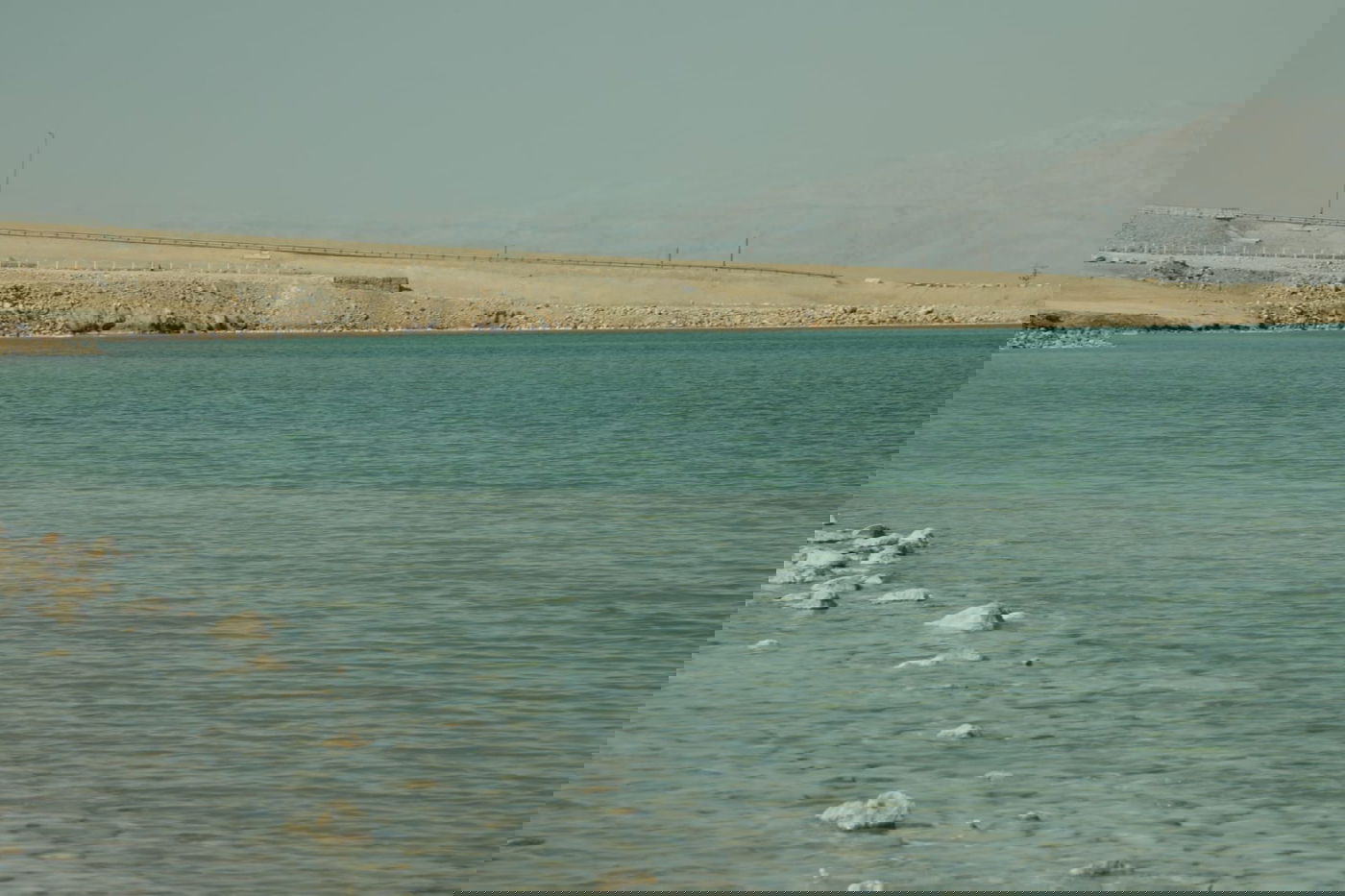 טיול דרך המצלמה לים המלח והנחלים באזור