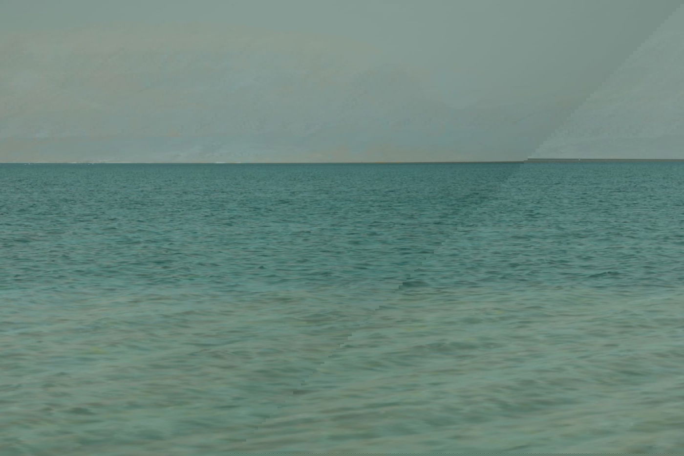 טיול דרך המצלמה לים המלח והנחלים באזור