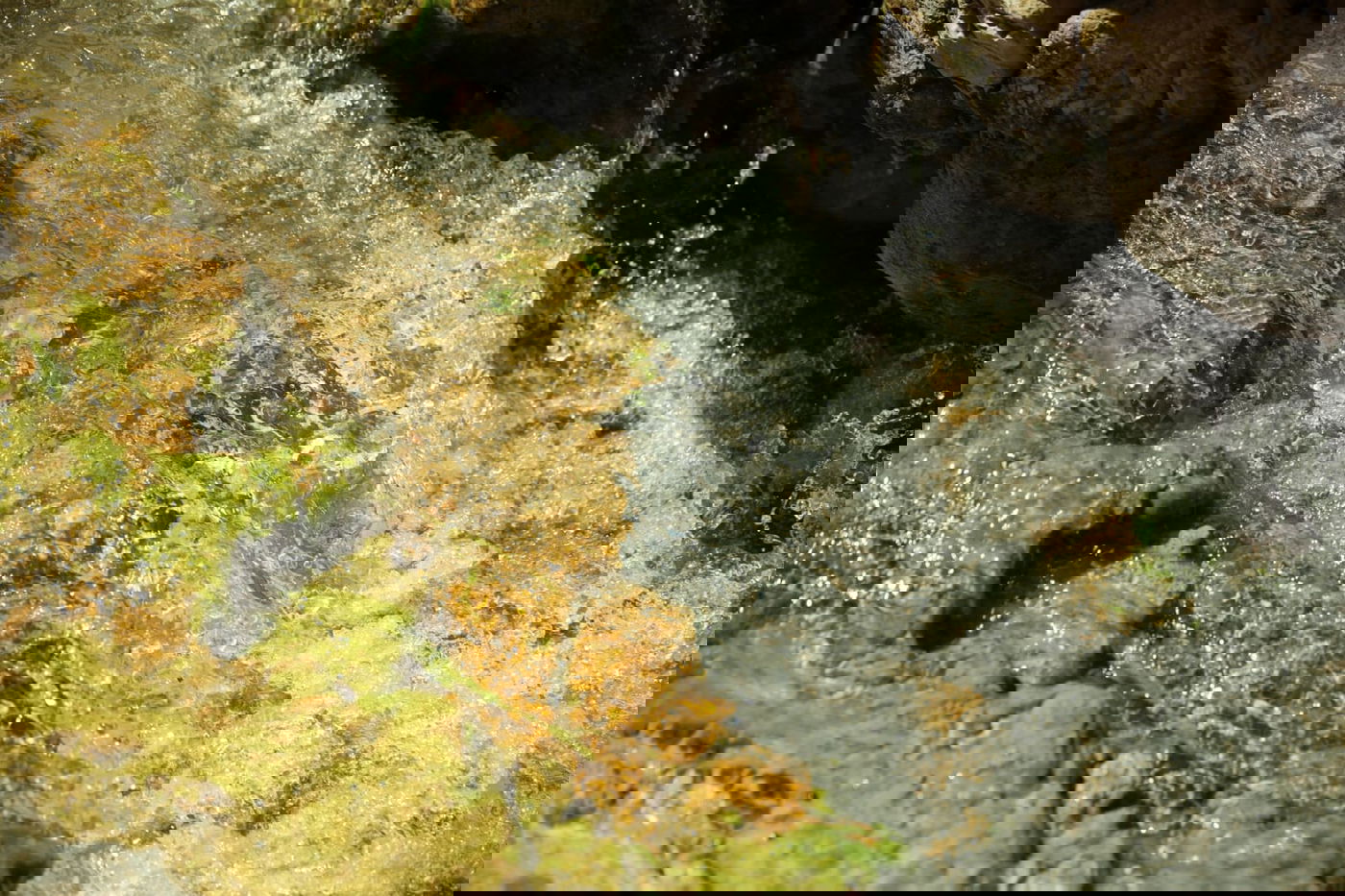 טיול דרך המצלמה לים המלח והנחלים באזור