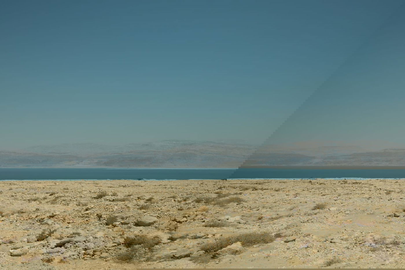 טיול דרך המצלמה לים המלח והנחלים באזור