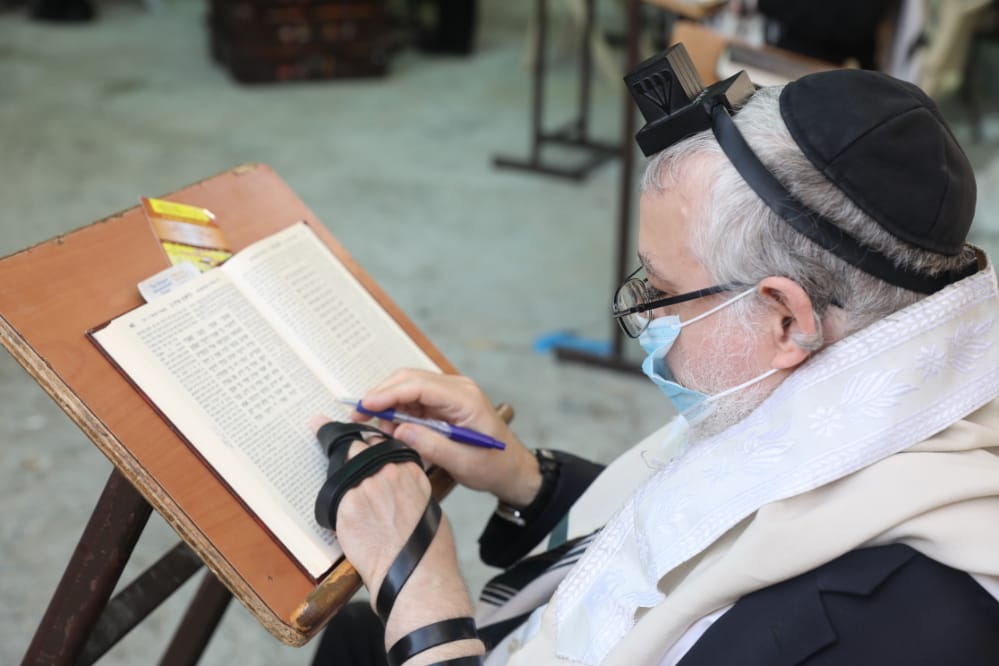 דרך החלון: המניין הייחודי של הגאון רבי דב לנדו • צפו