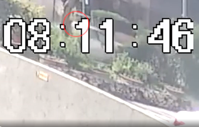 צפו: נהג רכב העיף הולכת רגל במעבר חציה