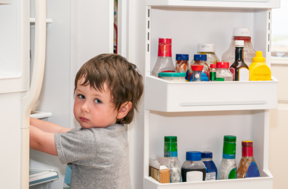 לא סתם המקרר שלכם ממלמל בלילה // מיכל ולקין