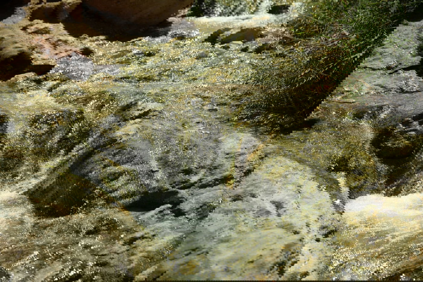 אזור 'הנהר הסודי' בגלריה מרהיבה במיוחד