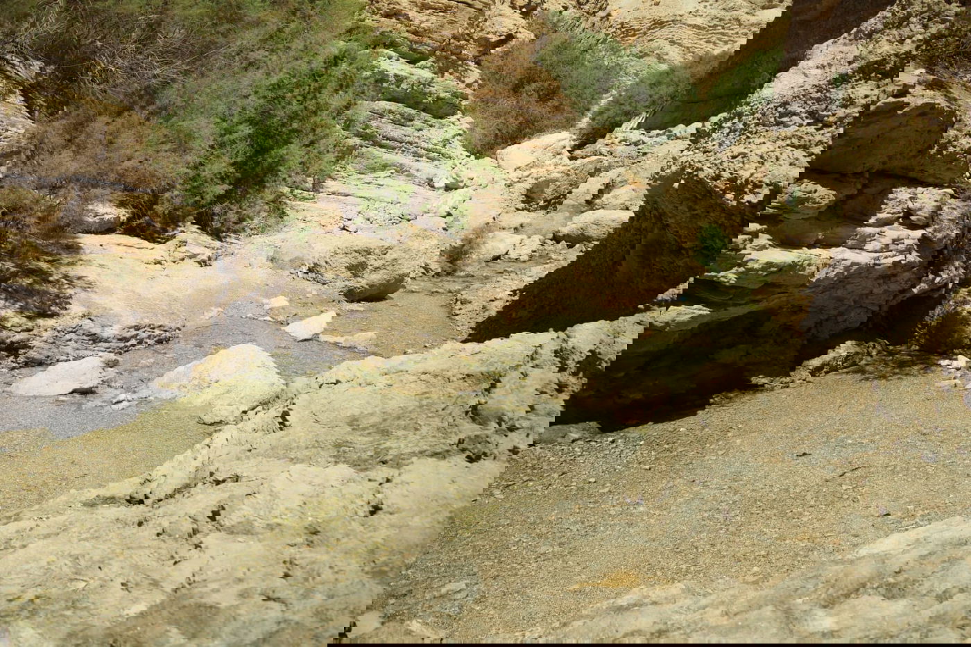 אזור 'הנהר הסודי' בגלריה מרהיבה במיוחד