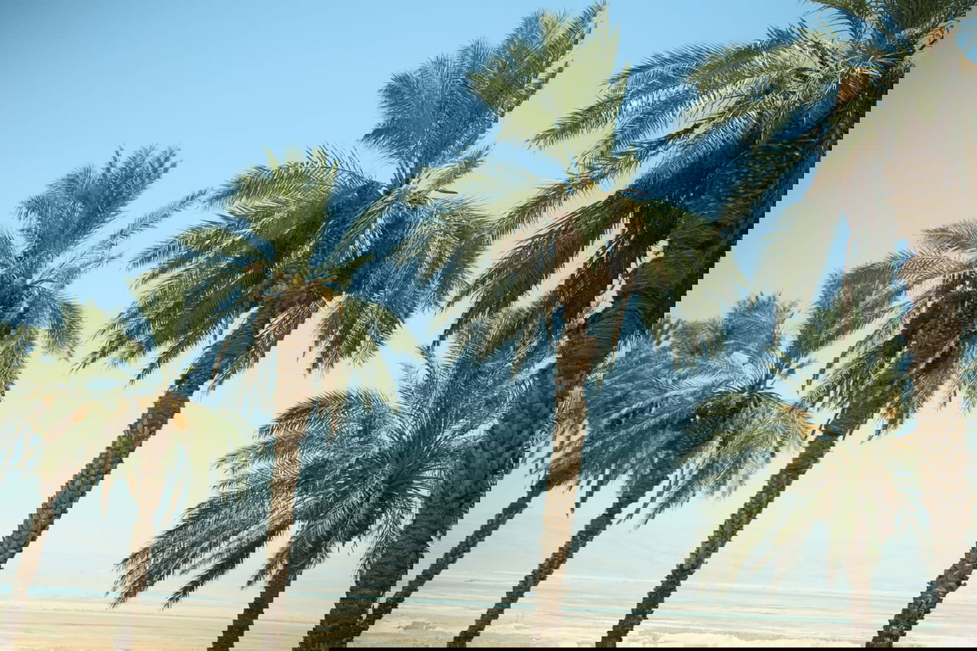 אזור 'הנהר הסודי' בגלריה מרהיבה במיוחד