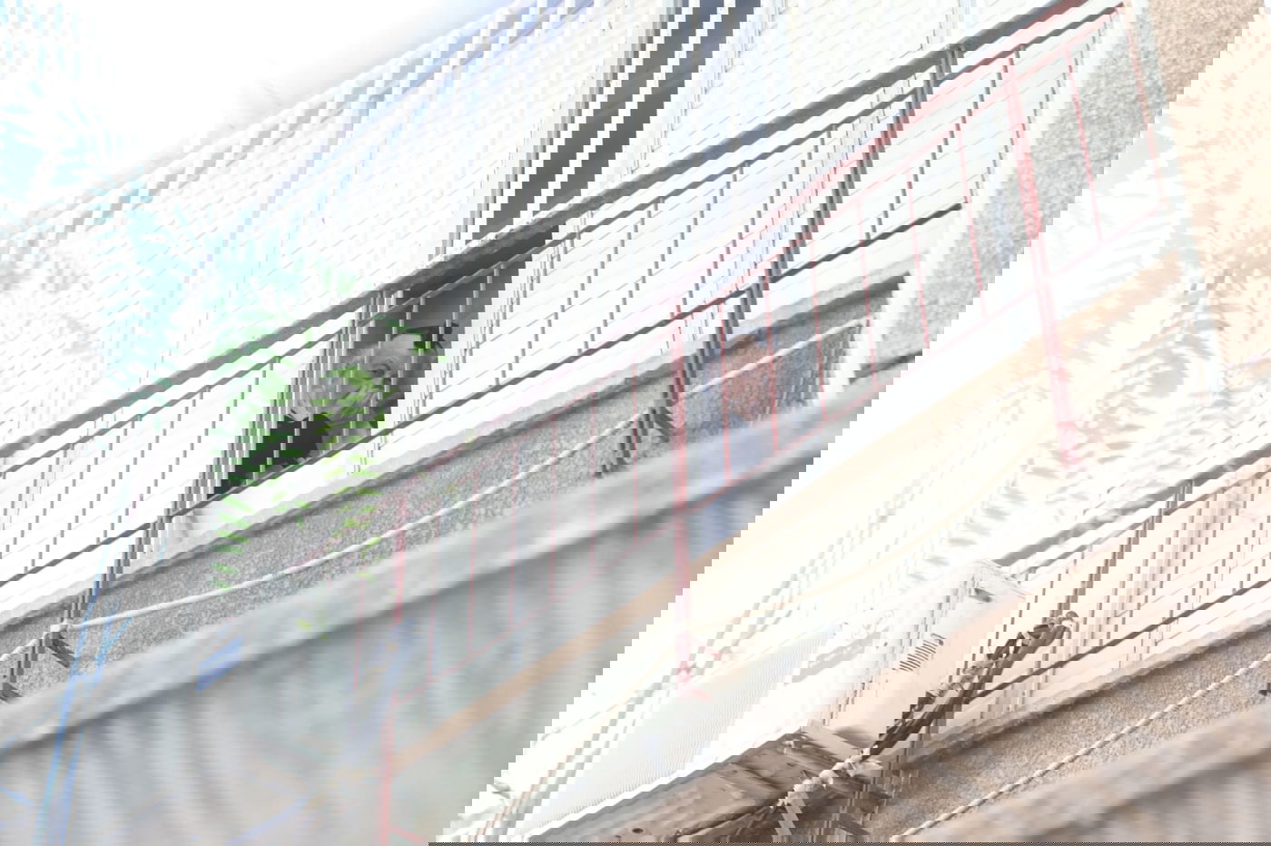 ה'חזונאישניקים' חזרו למנייני החצרות • צפו