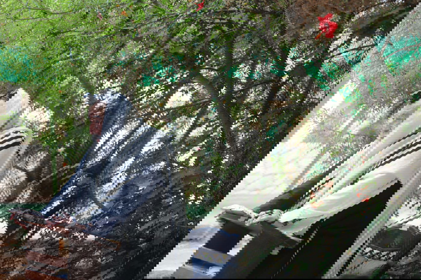 ה'חזונאישניקים' חזרו למנייני החצרות • צפו