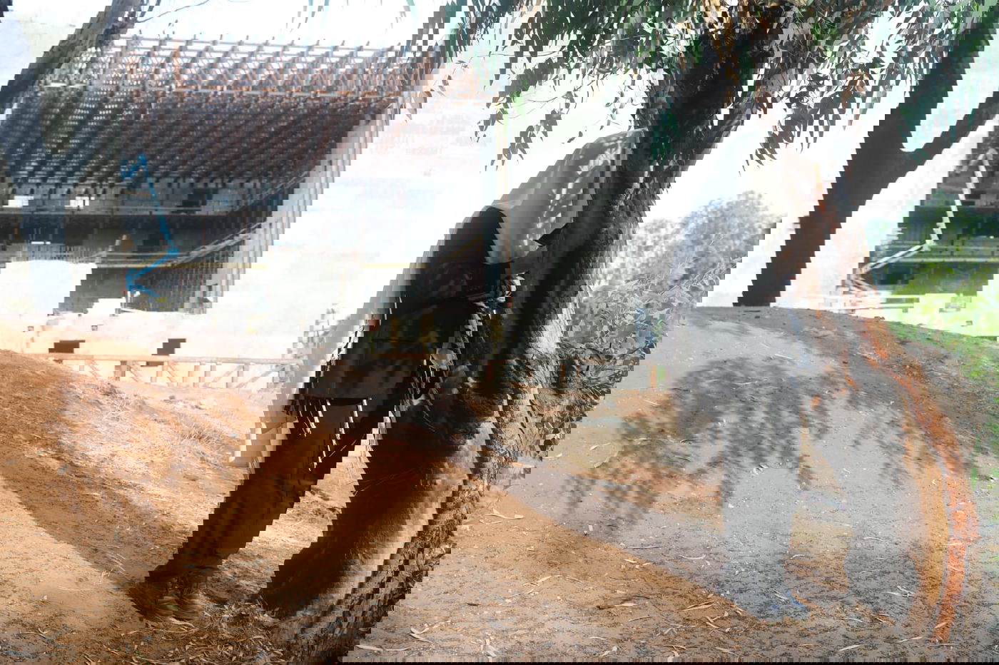 ה'חזונאישניקים' חזרו למנייני החצרות • צפו