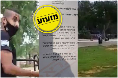 הפקח, הדו"ח והפארק עם הילדים